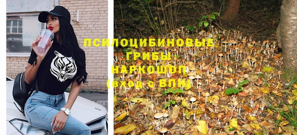 стаф Алексеевка