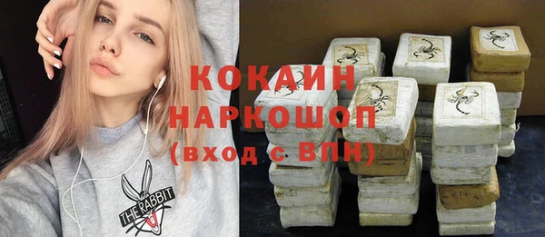 тгк Алексин
