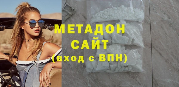 индика Каменка