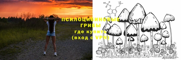 сатива Абаза