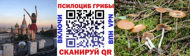 что такое ссылка на мегу ONION Галлюциногенные грибы мухоморы Харабали